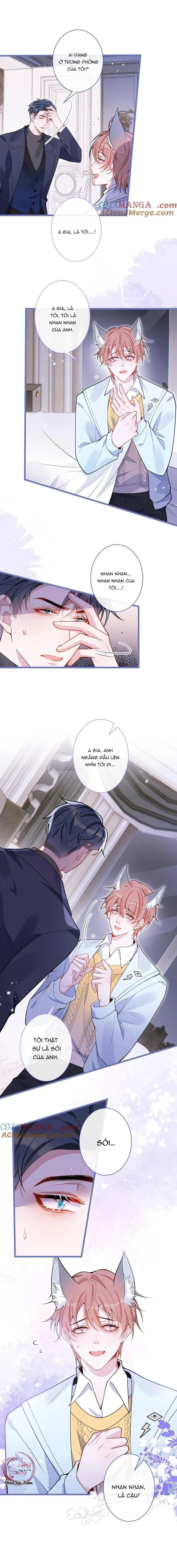 Sói Báo Ơn (END) Chapter 65 Trang 4