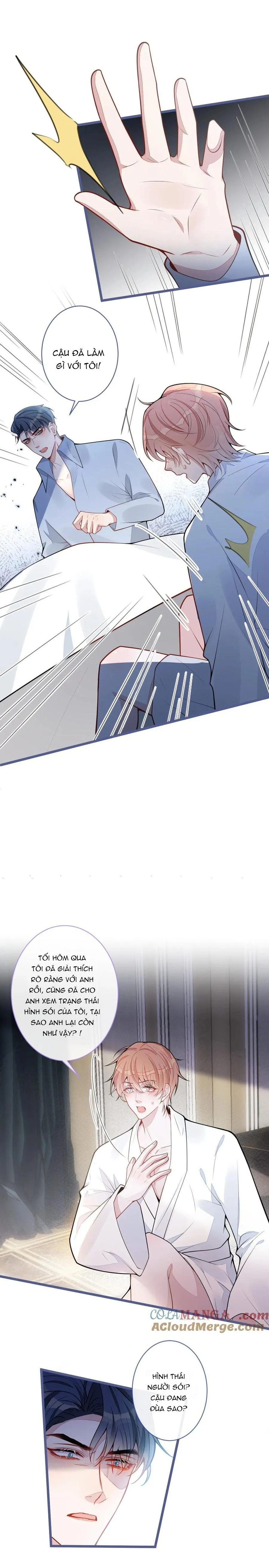 Sói Báo Ơn (END) Chapter 65 Trang 8