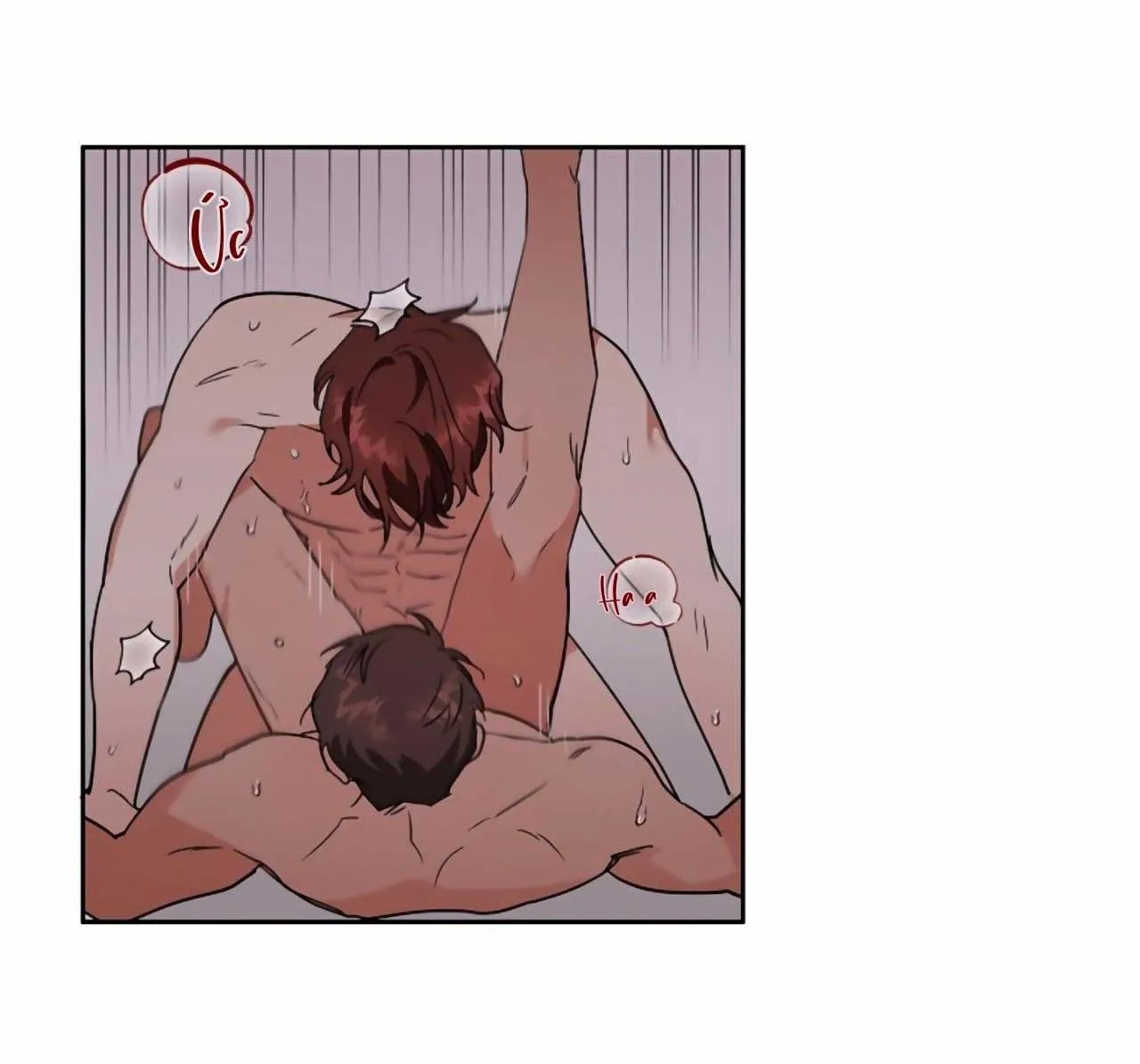 SÓI GIÀ VÀ CÁO NHỎ Chapter 2 Trang 41