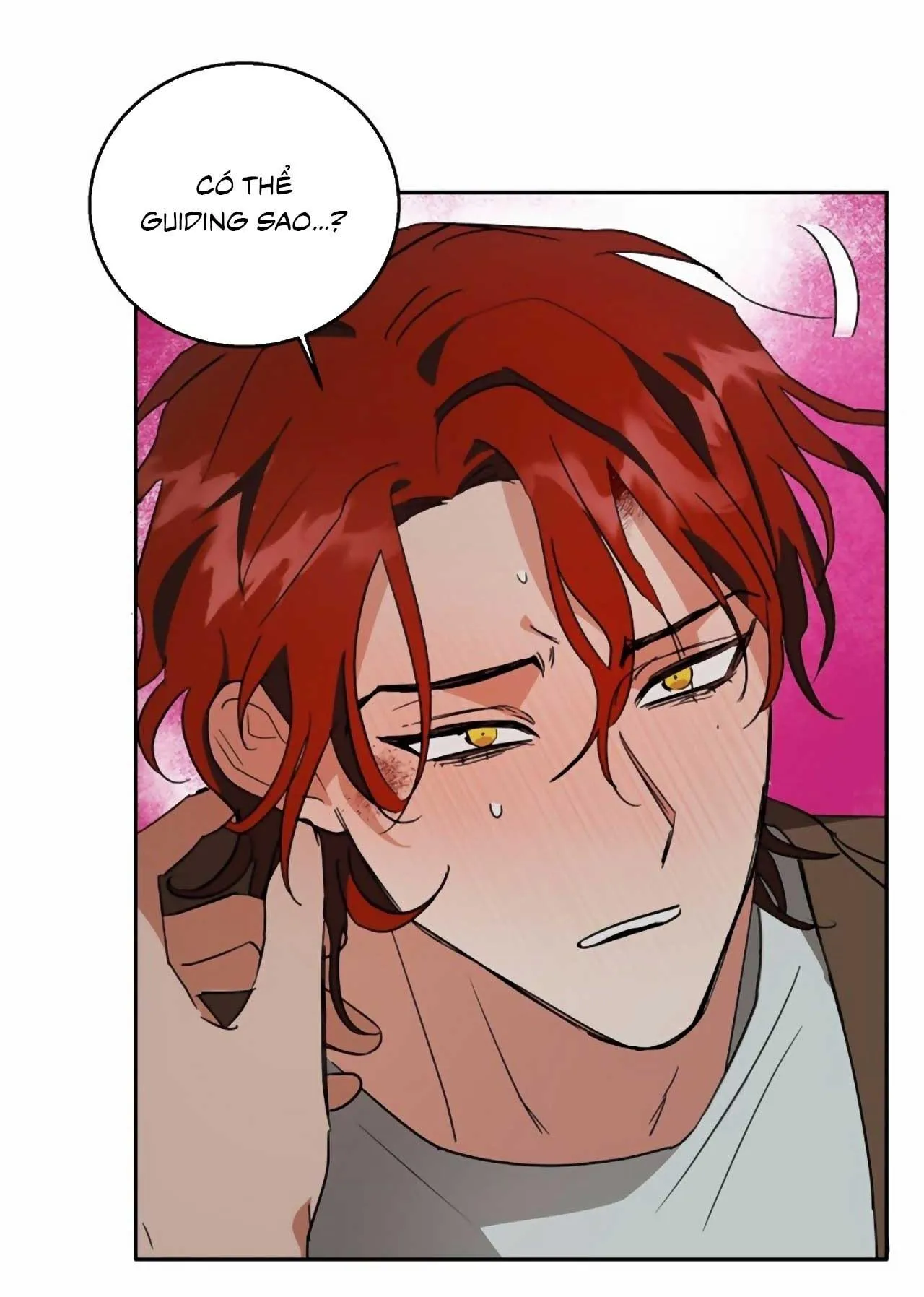 SÓI GIÀ VÀ CÁO NHỎ Chapter 4 Trang 33