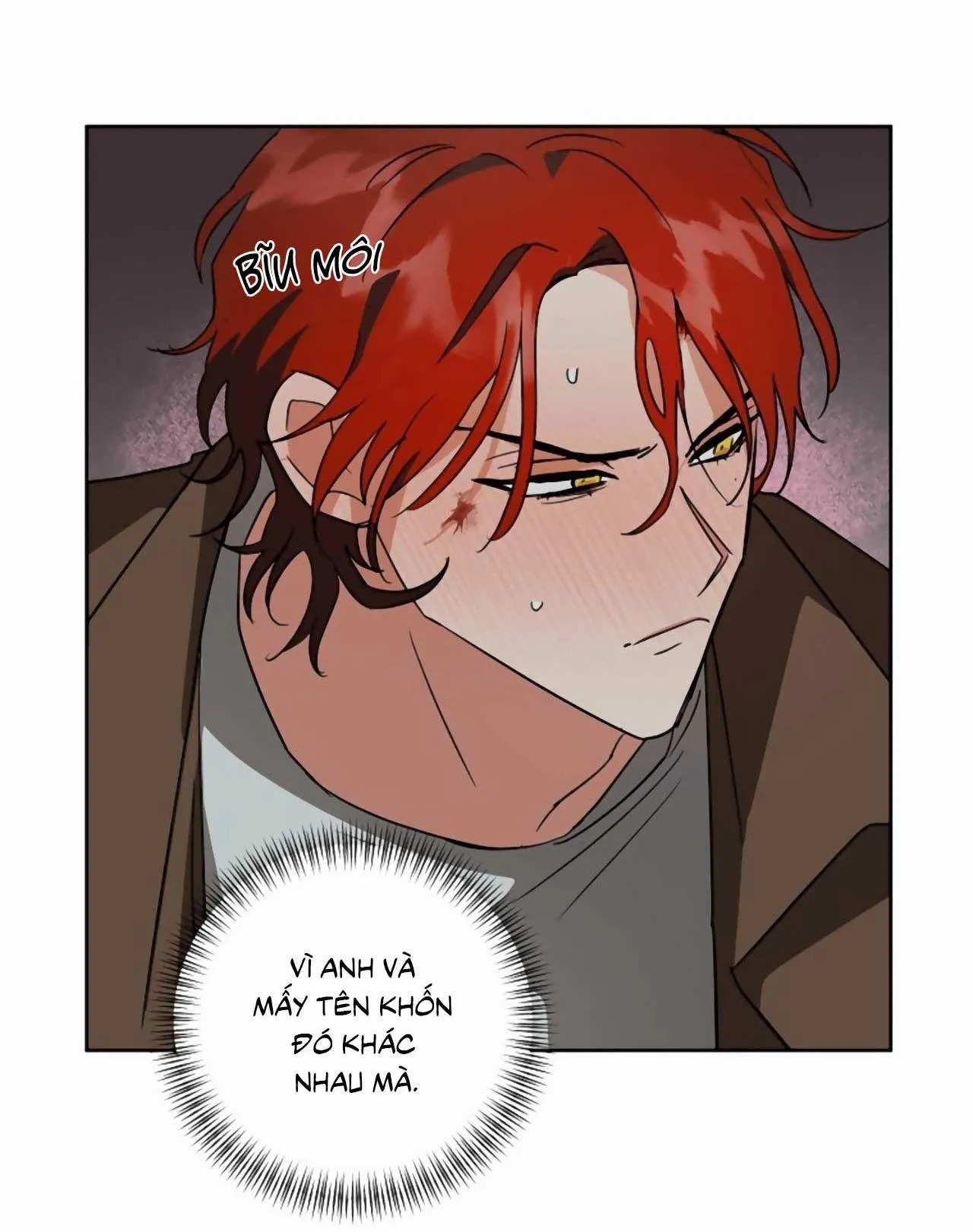 SÓI GIÀ VÀ CÁO NHỎ Chapter 4 Trang 35