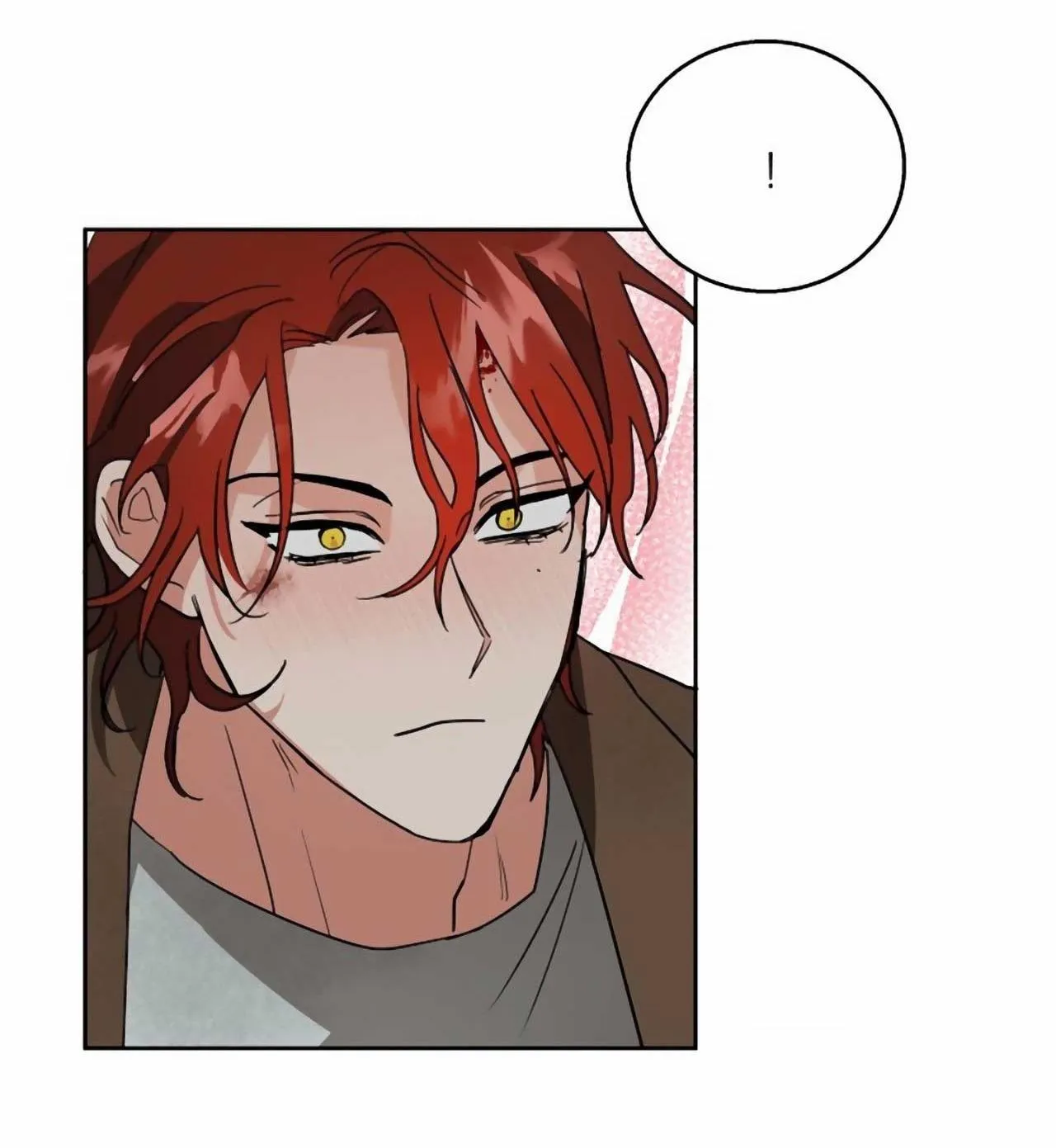 SÓI GIÀ VÀ CÁO NHỎ Chapter 4 Trang 41