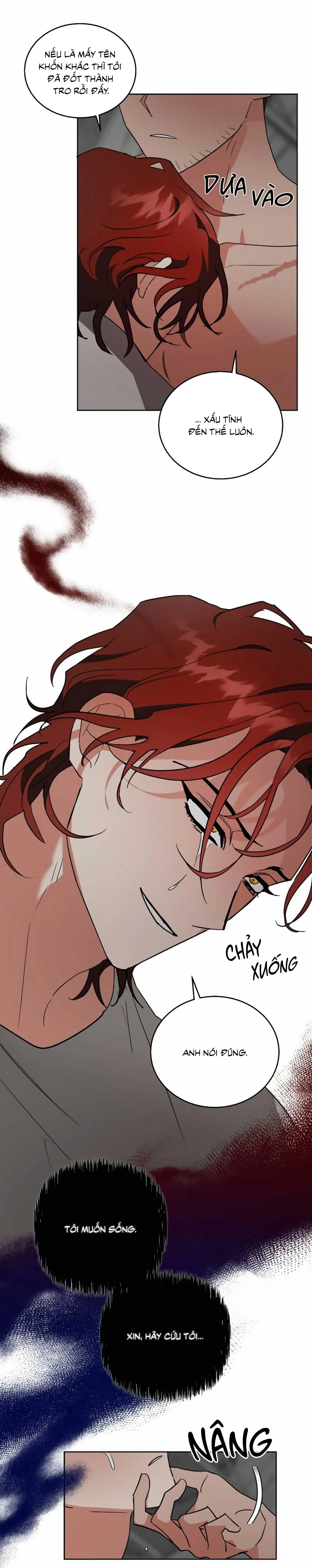 SÓI GIÀ VÀ CÁO NHỎ Chapter 5 Trang 4