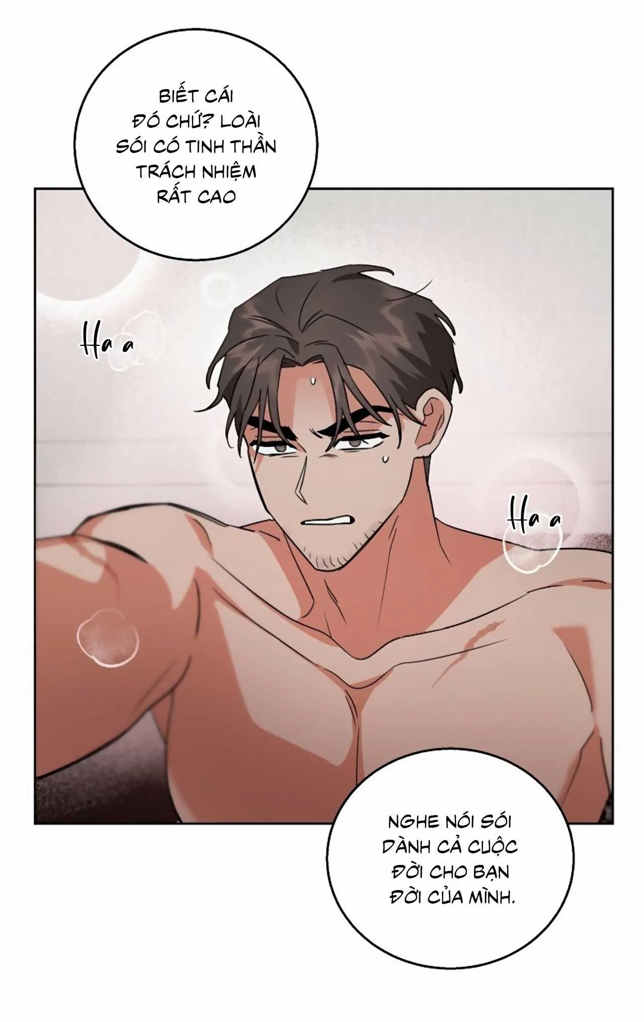 SÓI GIÀ VÀ CÁO NHỎ Chapter 6 Trang 54