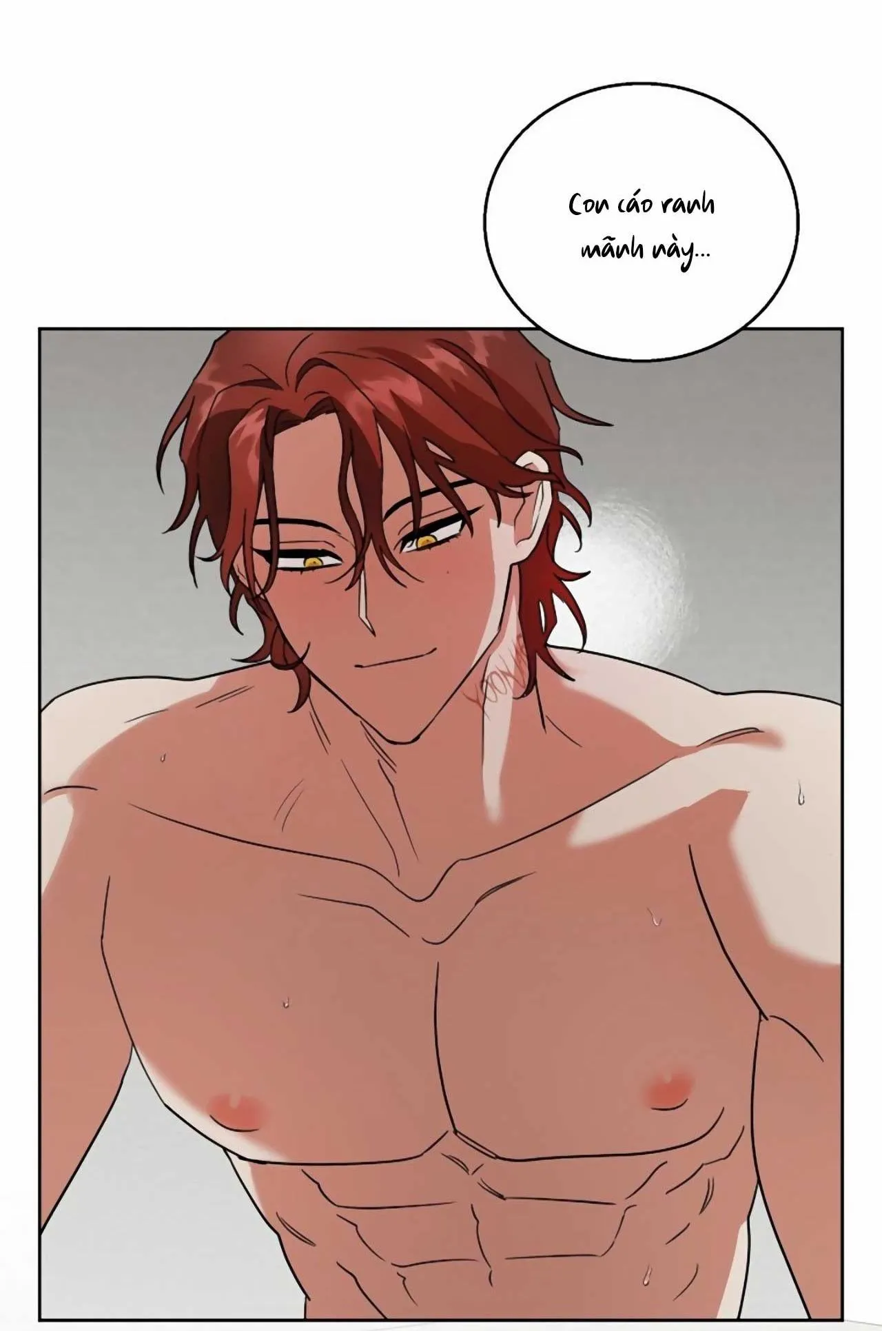 SÓI GIÀ VÀ CÁO NHỎ Chapter 6 Trang 61