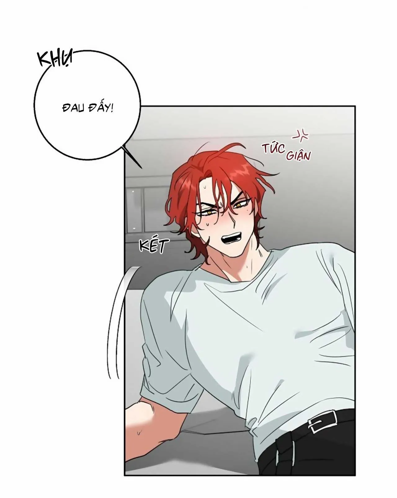 SÓI GIÀ VÀ CÁO NHỎ Chapter 1 Trang 3