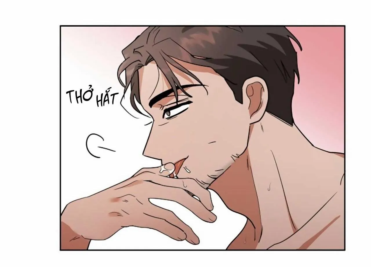 SÓI GIÀ VÀ CÁO NHỎ Chapter 1 Trang 61