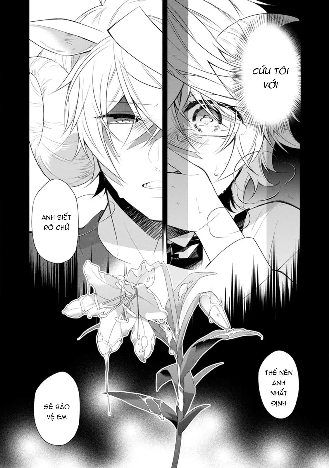 Sói Muốn Bị Cừu Ăn Thịt Chapter 2 Trang 25