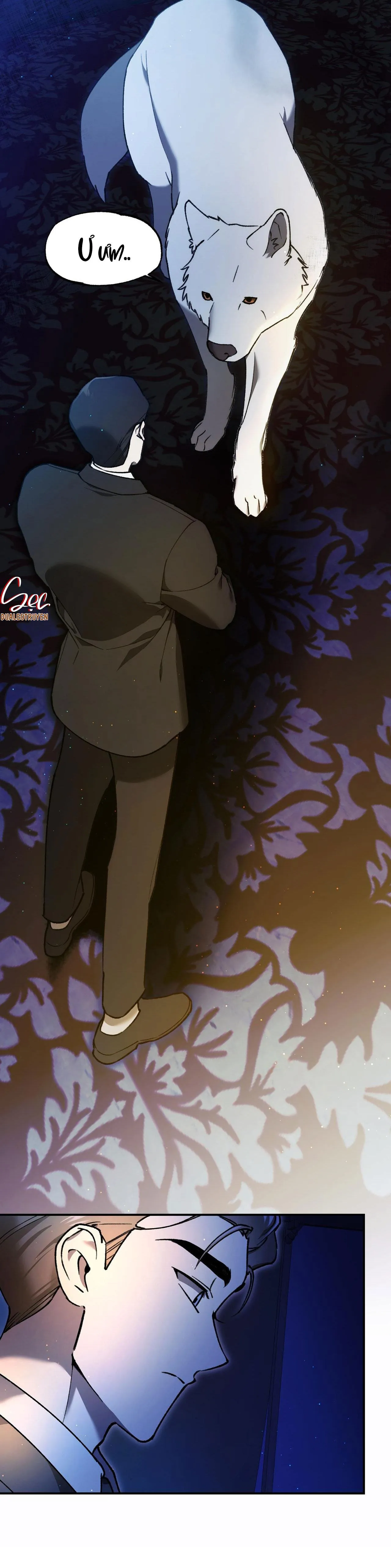 SÓI TRONG LỒNG Chapter 2 Trang 15