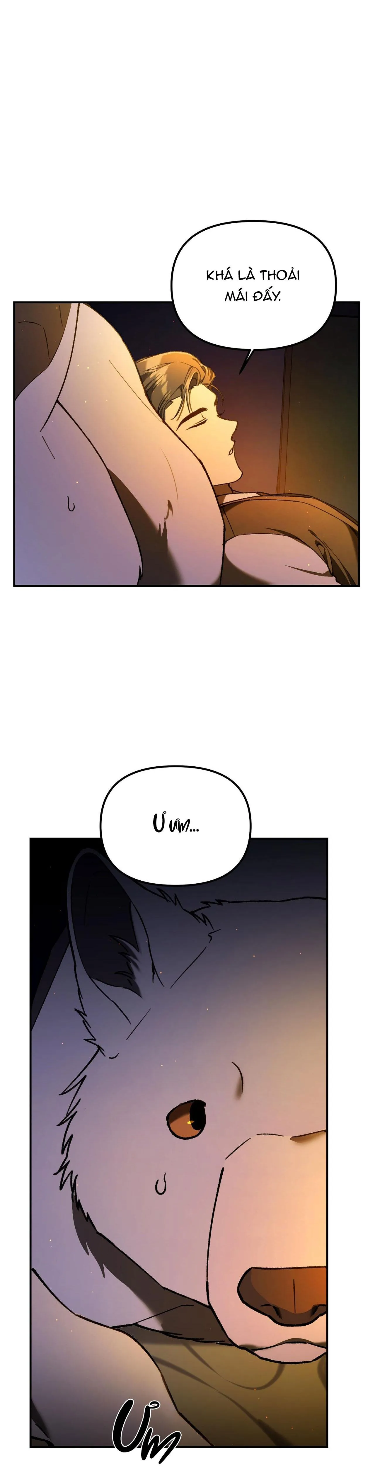 SÓI TRONG LỒNG Chapter 2 Trang 23