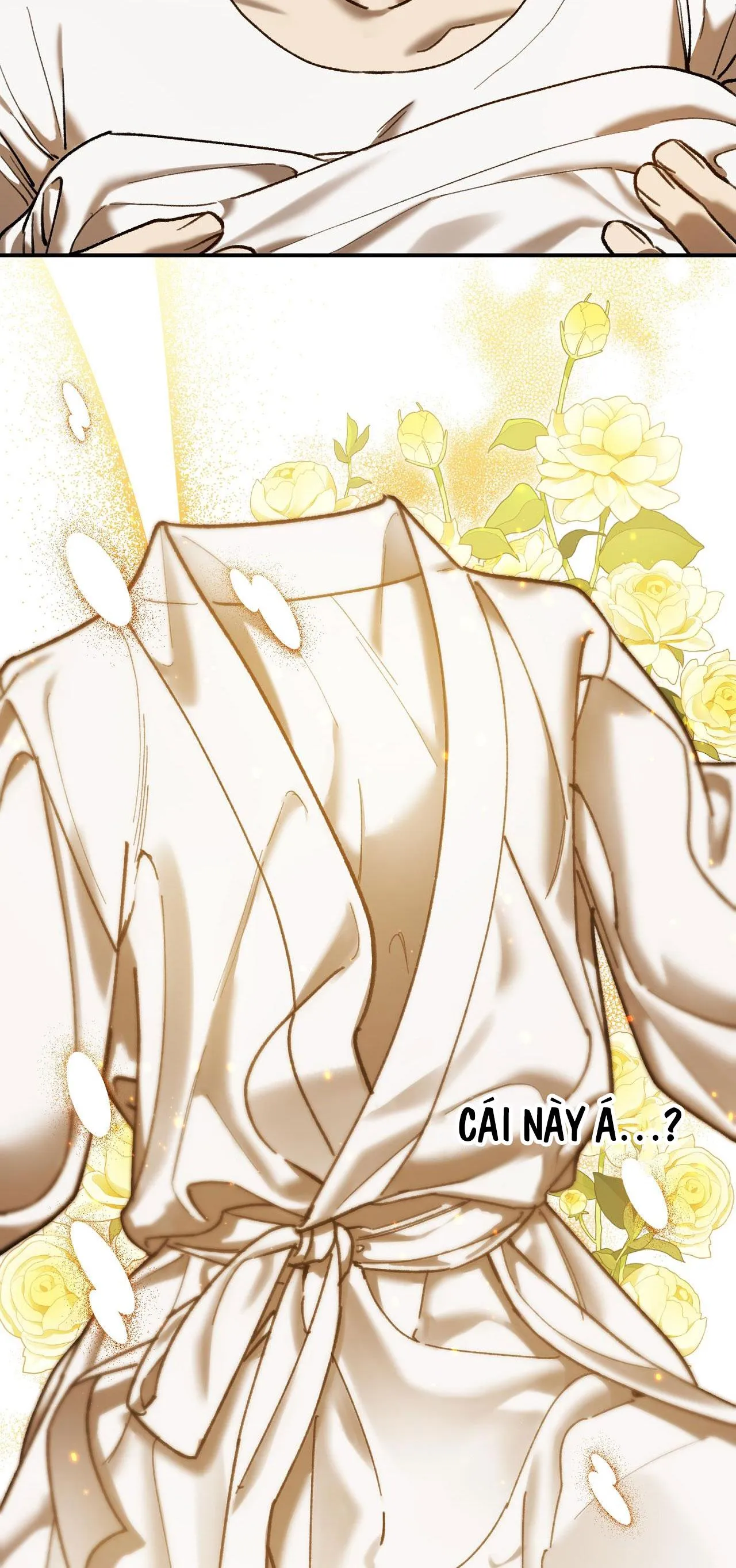 SÓI TRONG LỒNG Chapter 10 Trang 27