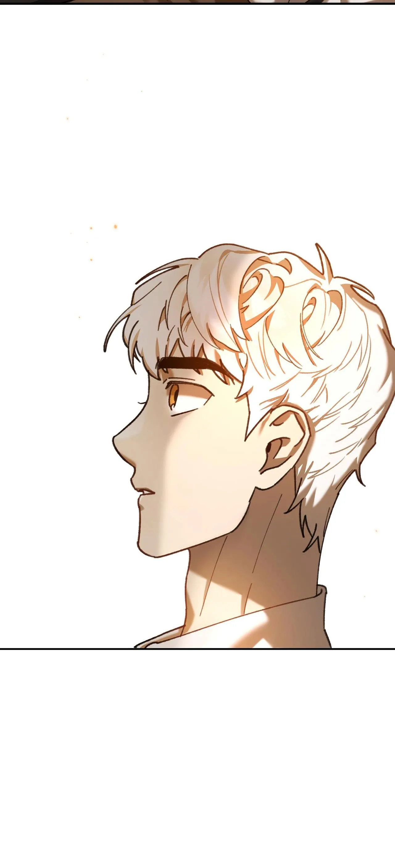 SÓI TRONG LỒNG Chapter 11 Trang 67