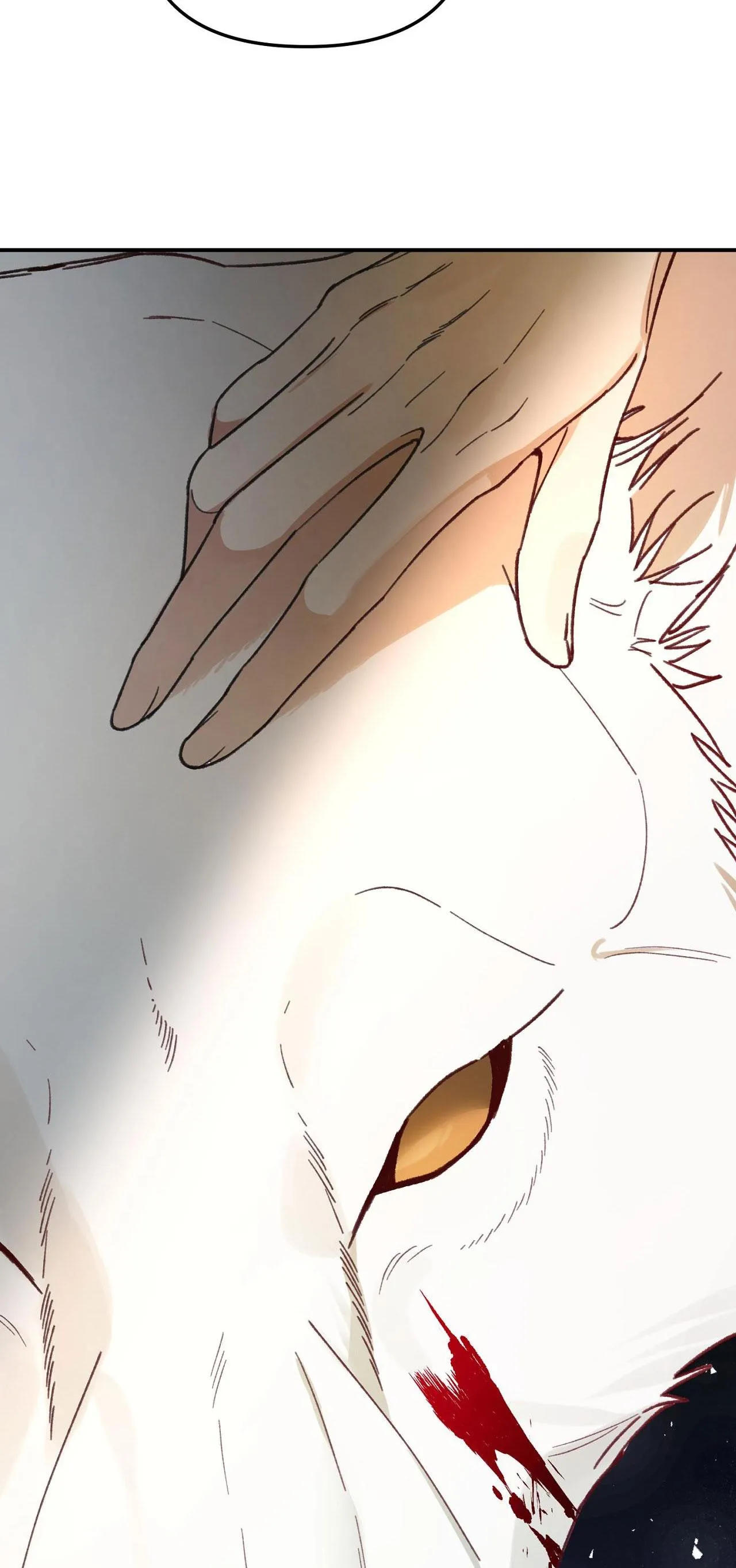 SÓI TRONG LỒNG Chapter 17 Trang 64