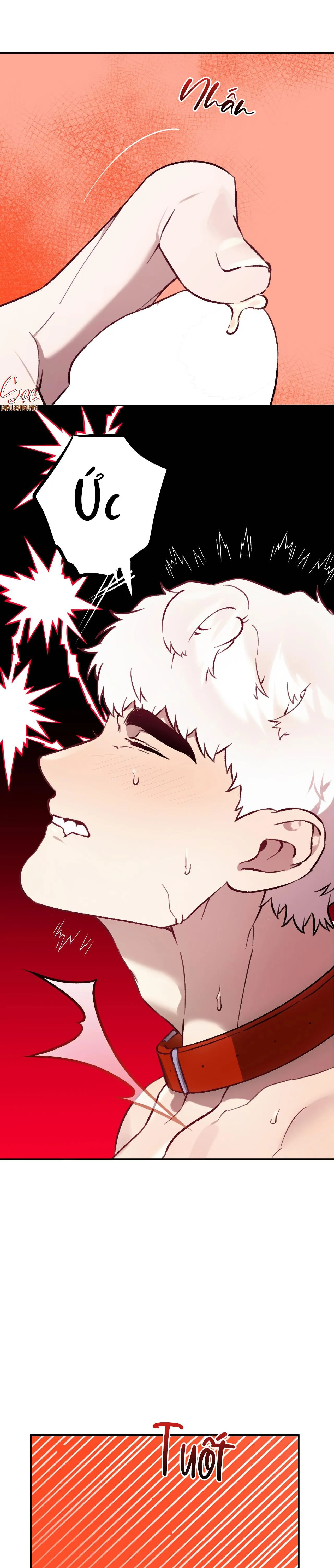 SÓI TRONG LỒNG Chapter 23 Trang 17