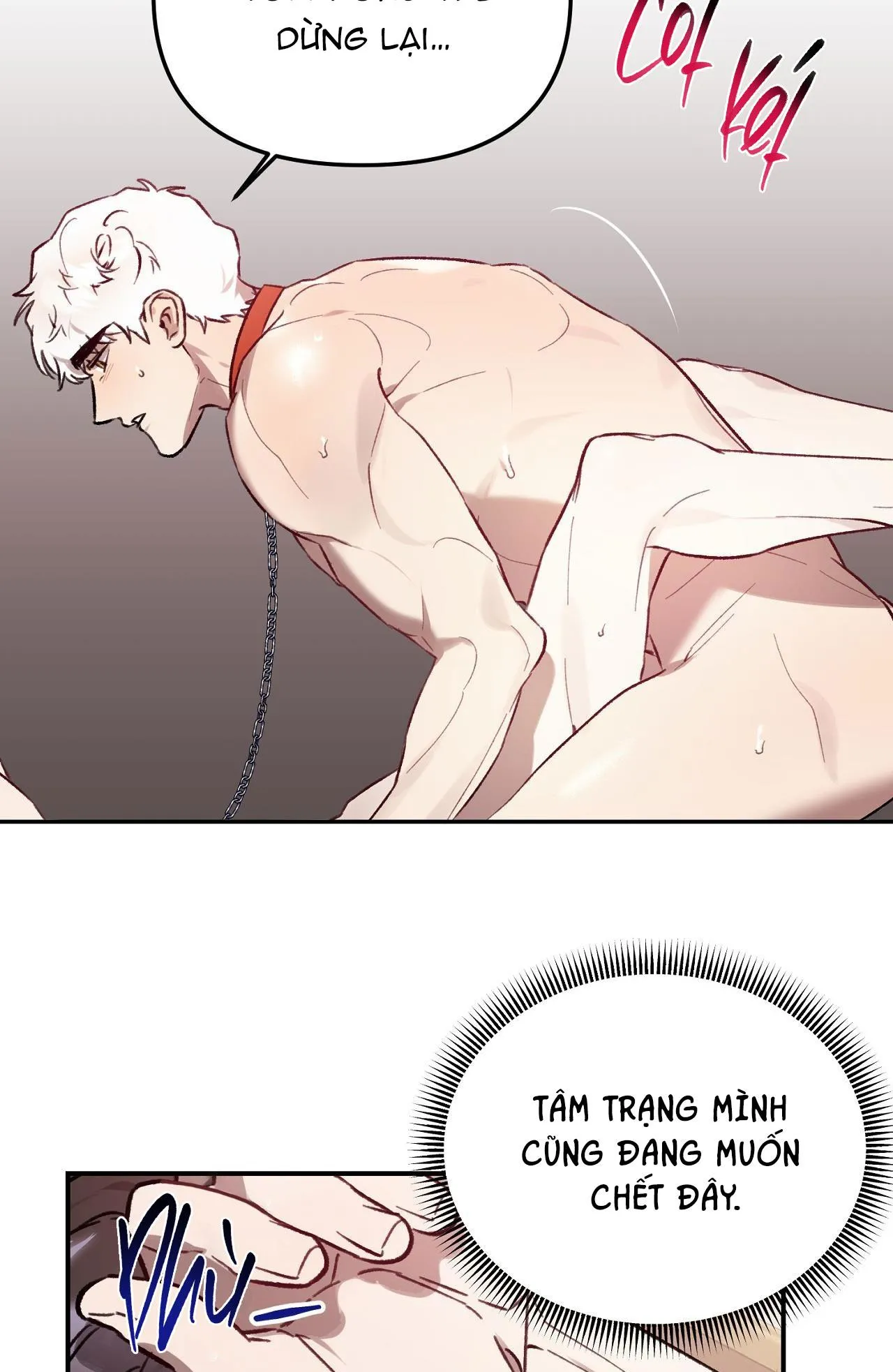 SÓI TRONG LỒNG Chapter 24 Trang 10