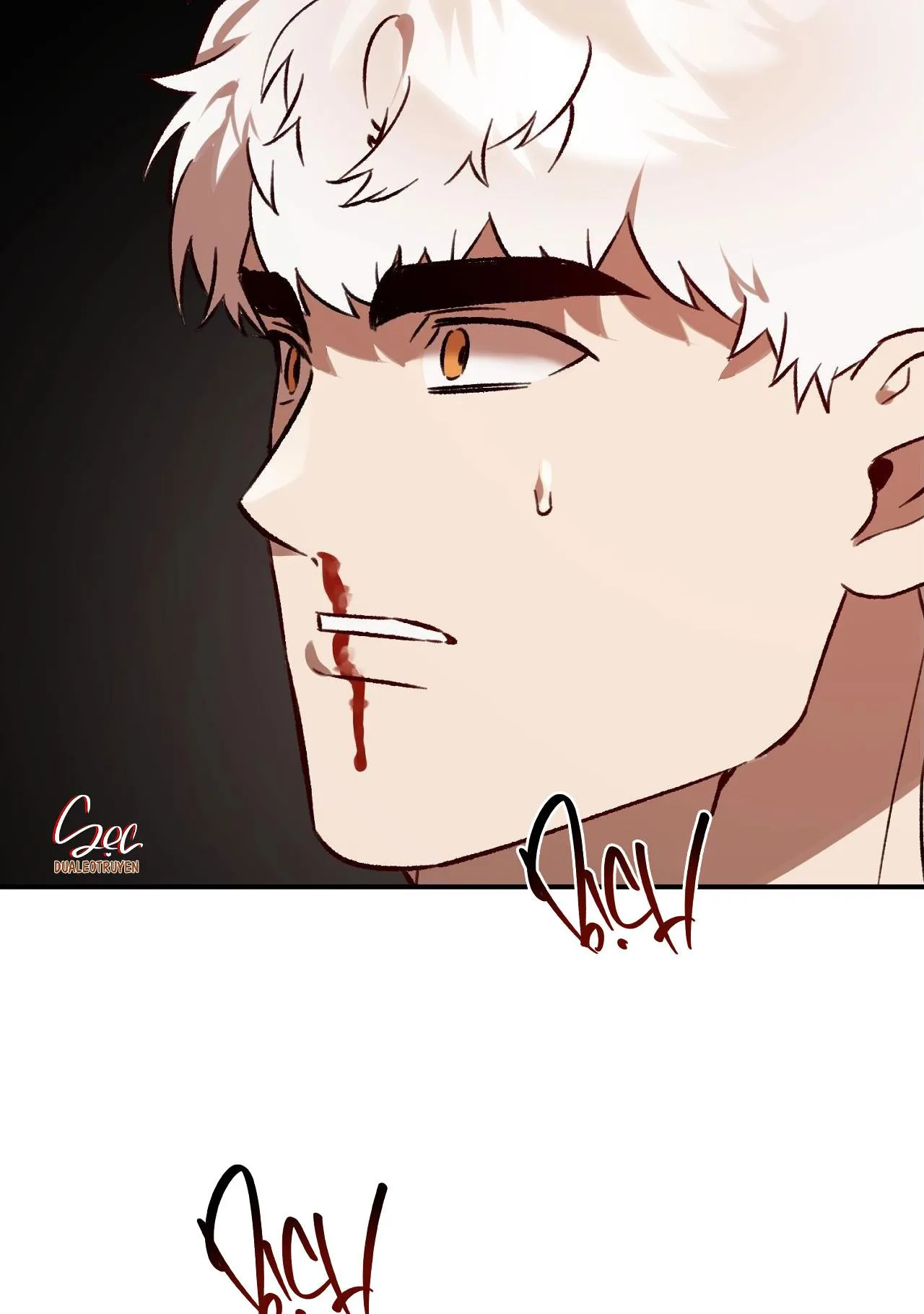 SÓI TRONG LỒNG Chapter 26 Trang 26