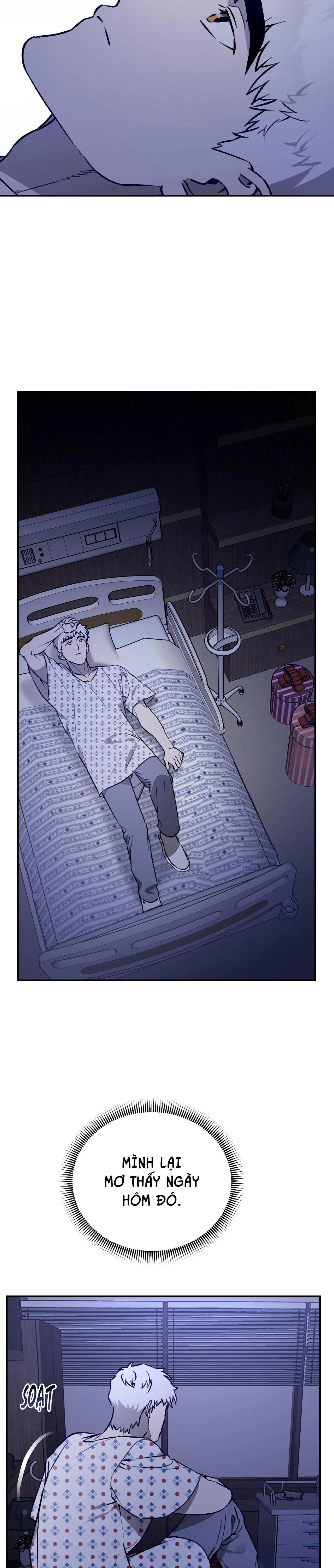 SÓI TRONG LỒNG Chapter 28 Trang 20