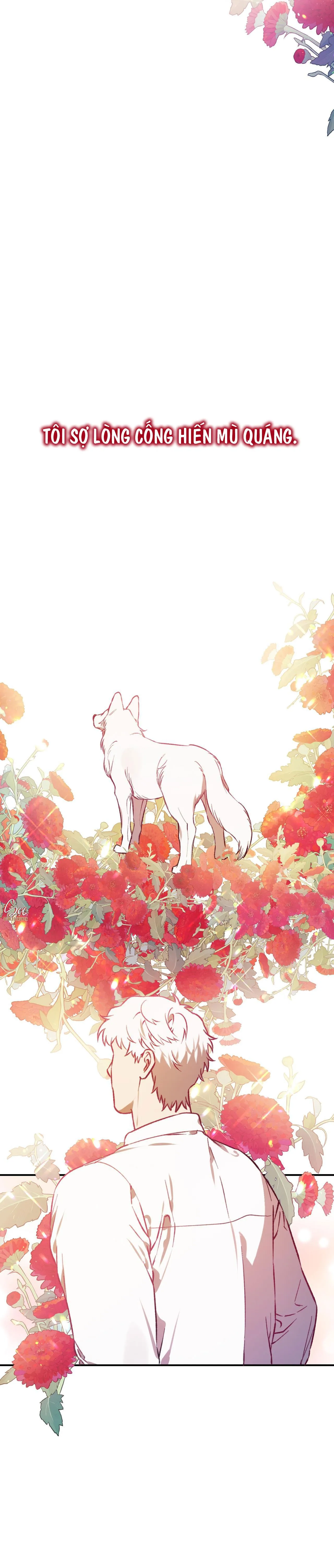 SÓI TRONG LỒNG Chapter 32 Trang 40
