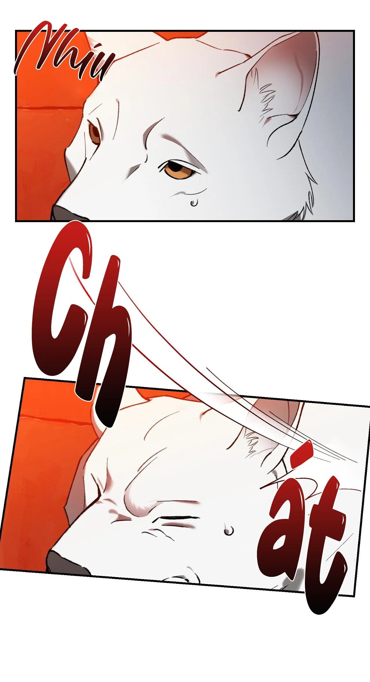 SÓI TRONG LỒNG Chapter 1 Trang 48