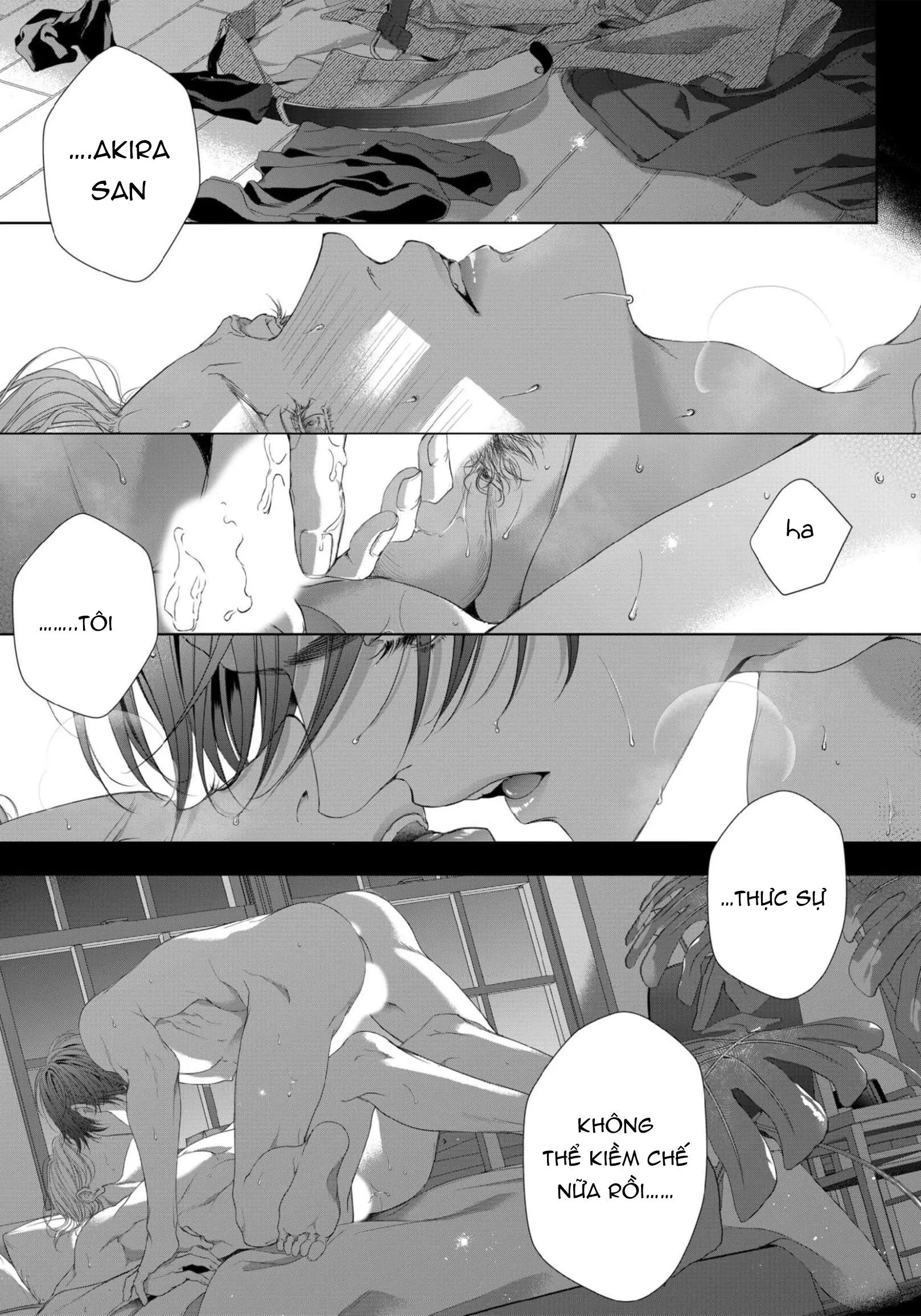 SÓI TRU ĐÊM TRĂNG Chapter 2 Trang 4