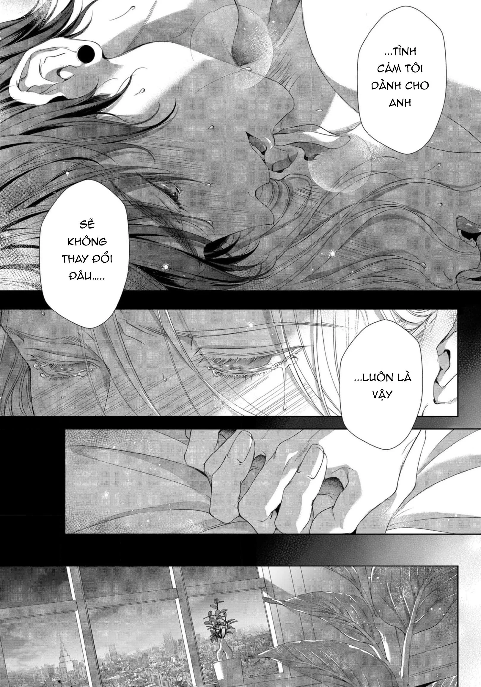 SÓI TRU ĐÊM TRĂNG Chapter 2 Trang 14