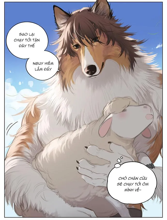 SÓI VÀ CHÓ CHĂN CỪU Chapter 2 Trang 5