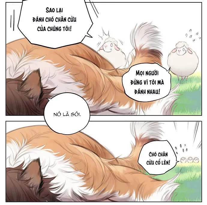 SÓI VÀ CHÓ CHĂN CỪU Chapter 3 Trang 7