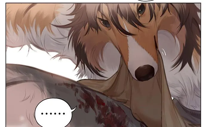 SÓI VÀ CHÓ CHĂN CỪU Chapter 3 Trang 9