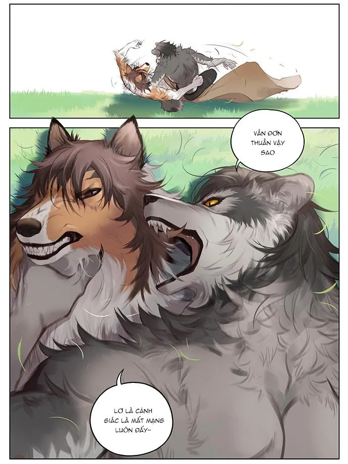 SÓI VÀ CHÓ CHĂN CỪU Chapter 3 Trang 11