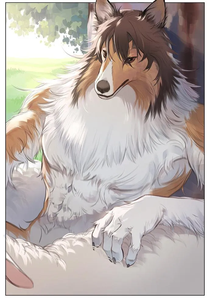 SÓI VÀ CHÓ CHĂN CỪU Chapter 1 Trang 5