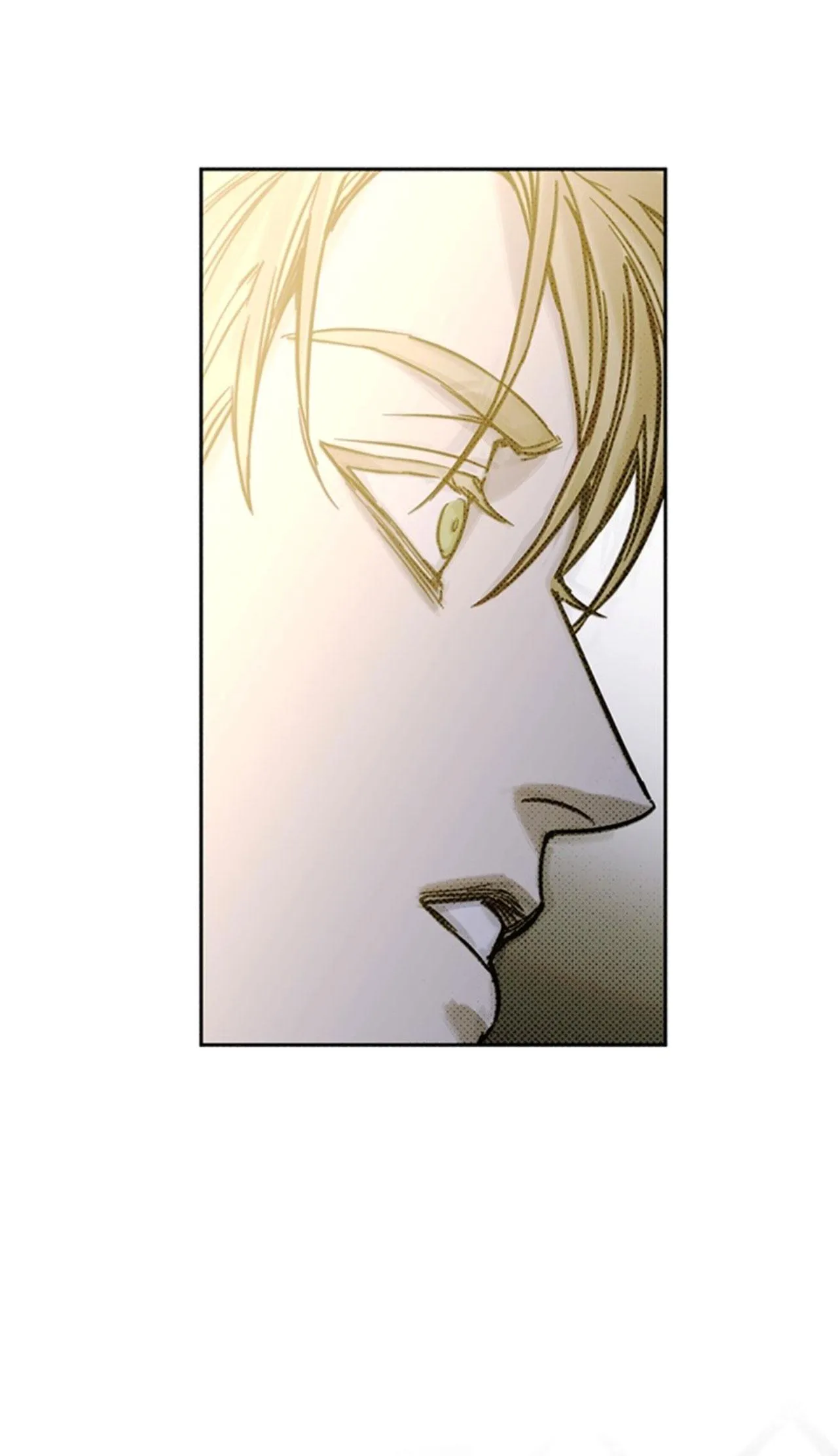 SOLO FOR TWO Chapter 3 Trang 63