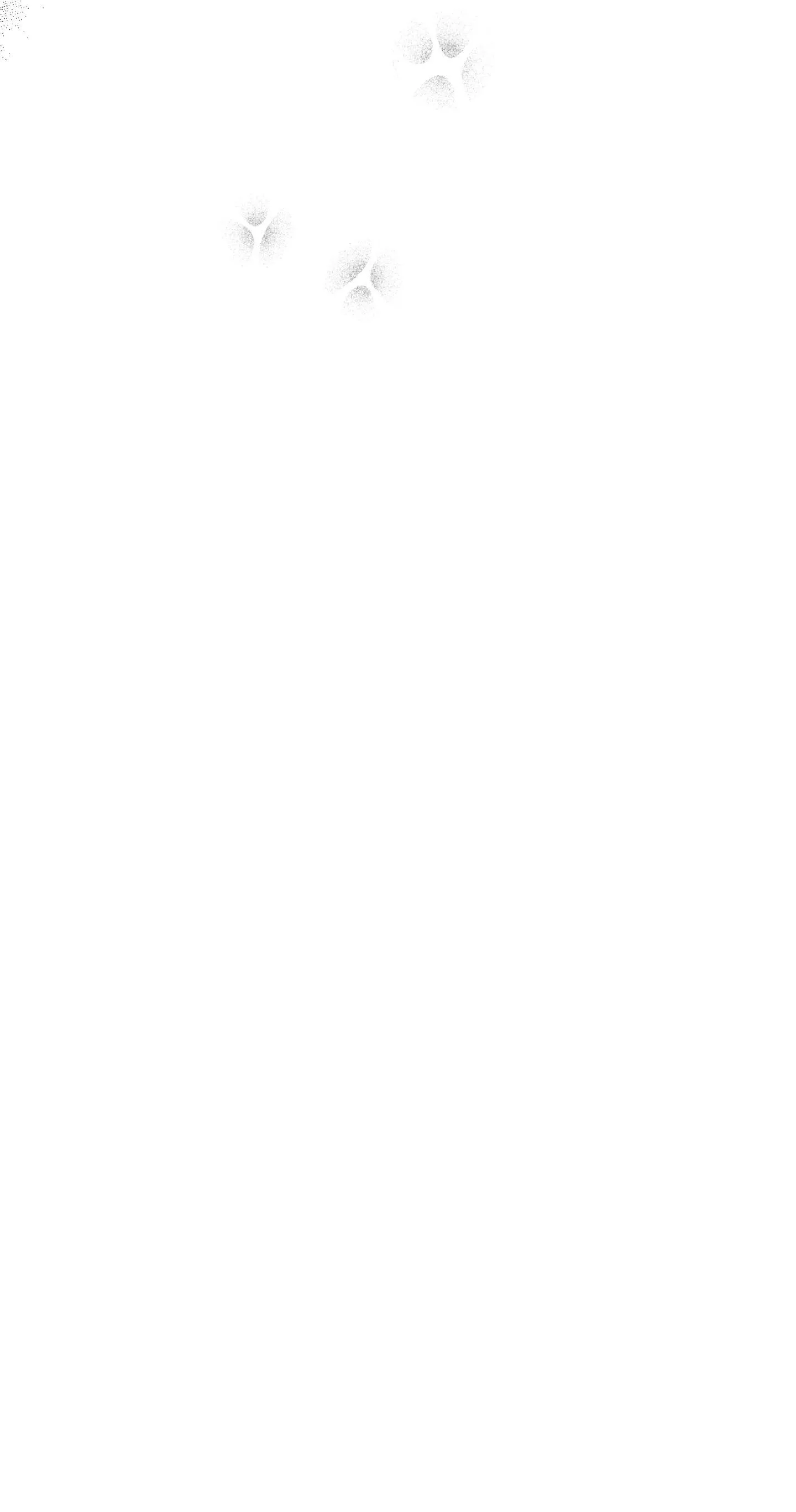 SOMETHING IMPOSSIBLE Chapter 29 Trang 63