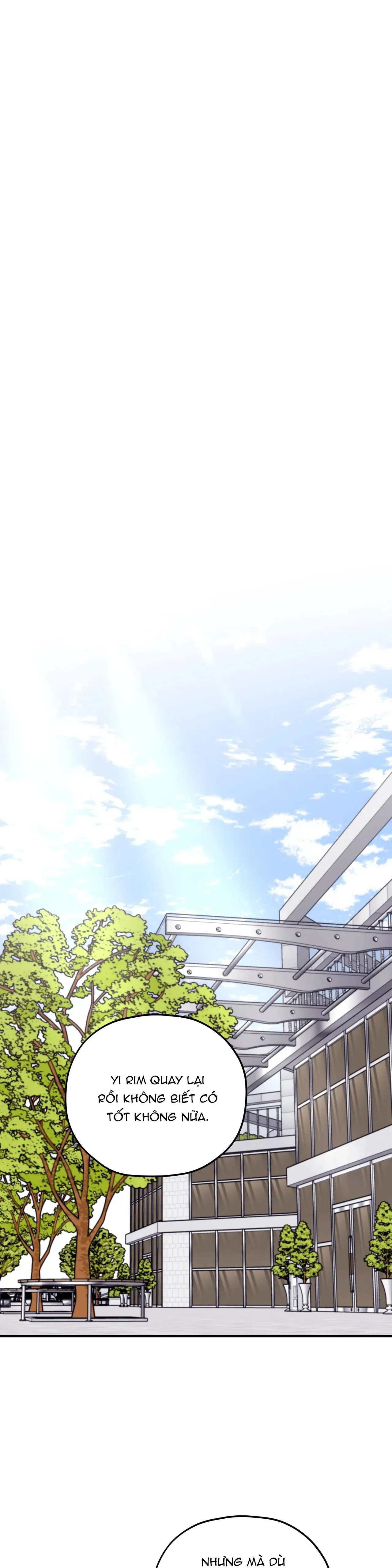 Sóng Tìm Em Chapter 50 Trang 5