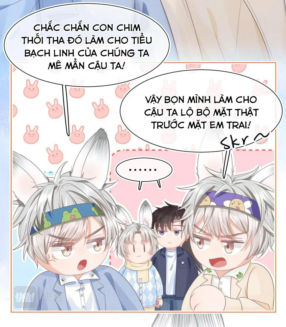 Ss2 Một ngụm ăn cả thỏ con Chapter 21 Trang 17