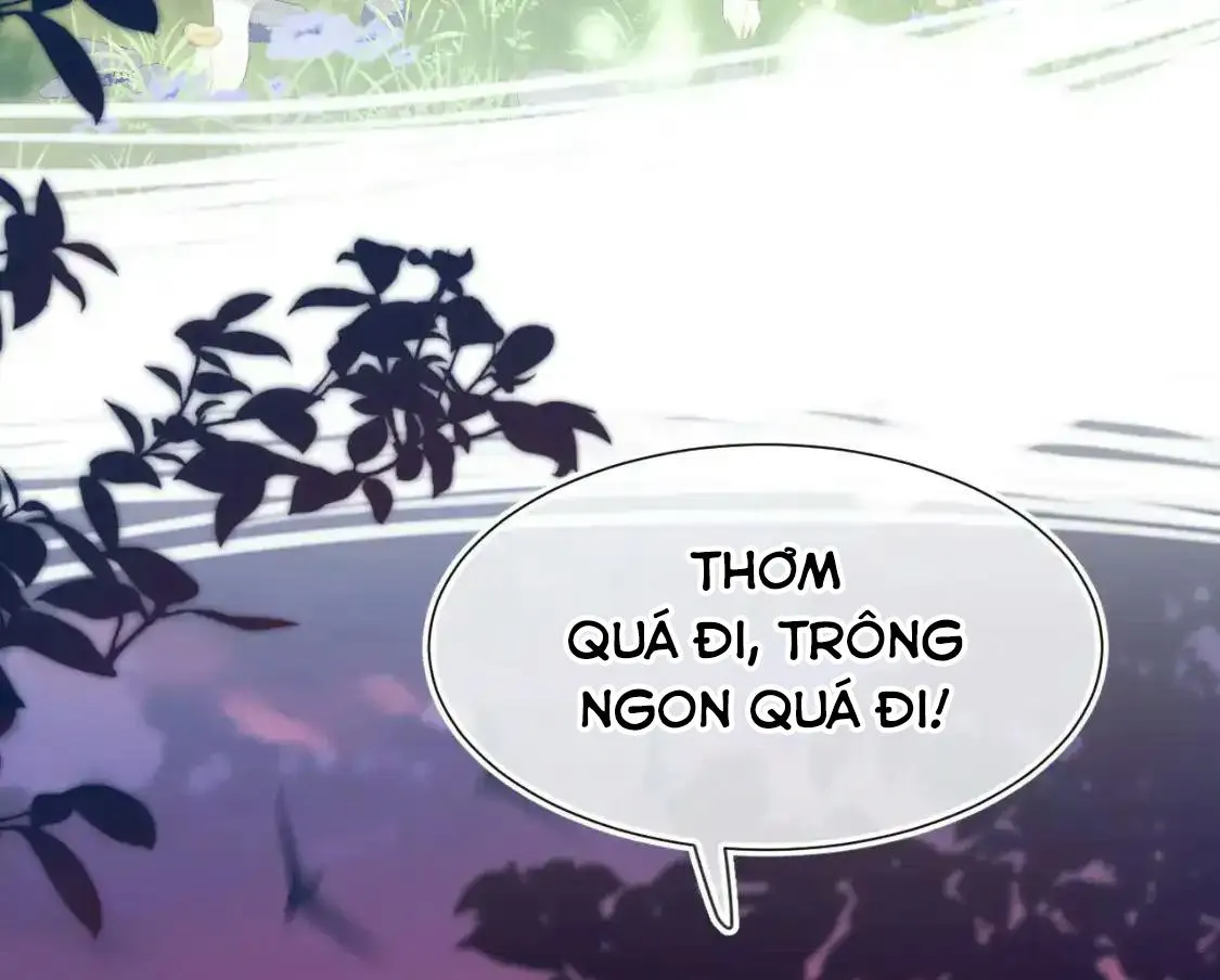 Ss2 Một ngụm ăn cả thỏ con Chapter 48 Trang 21