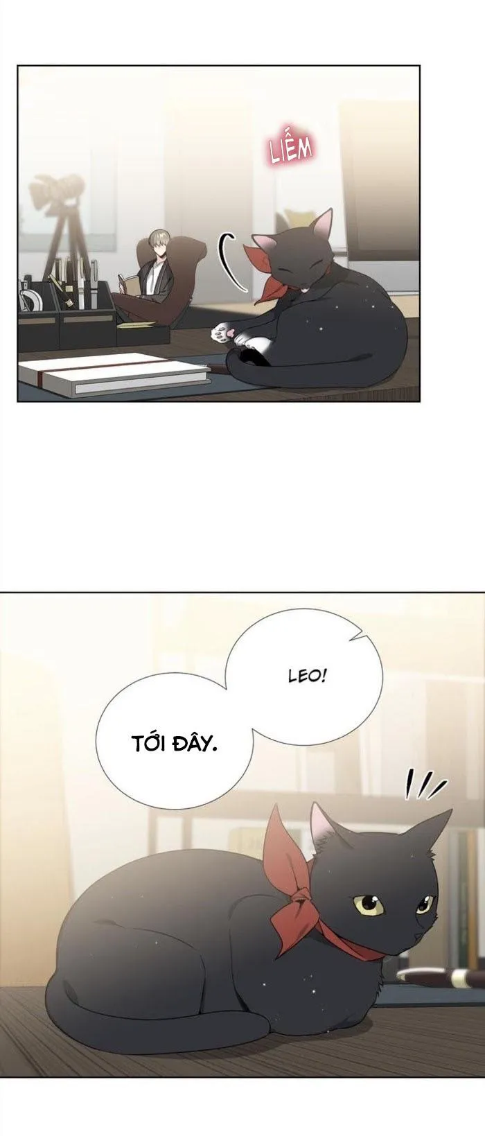 Starlight Scandal. Chapter 14 Trang 15