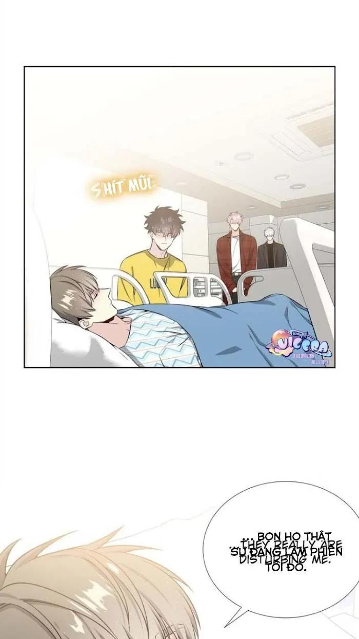 Starlight Scandal. Chapter 16 Trang 3