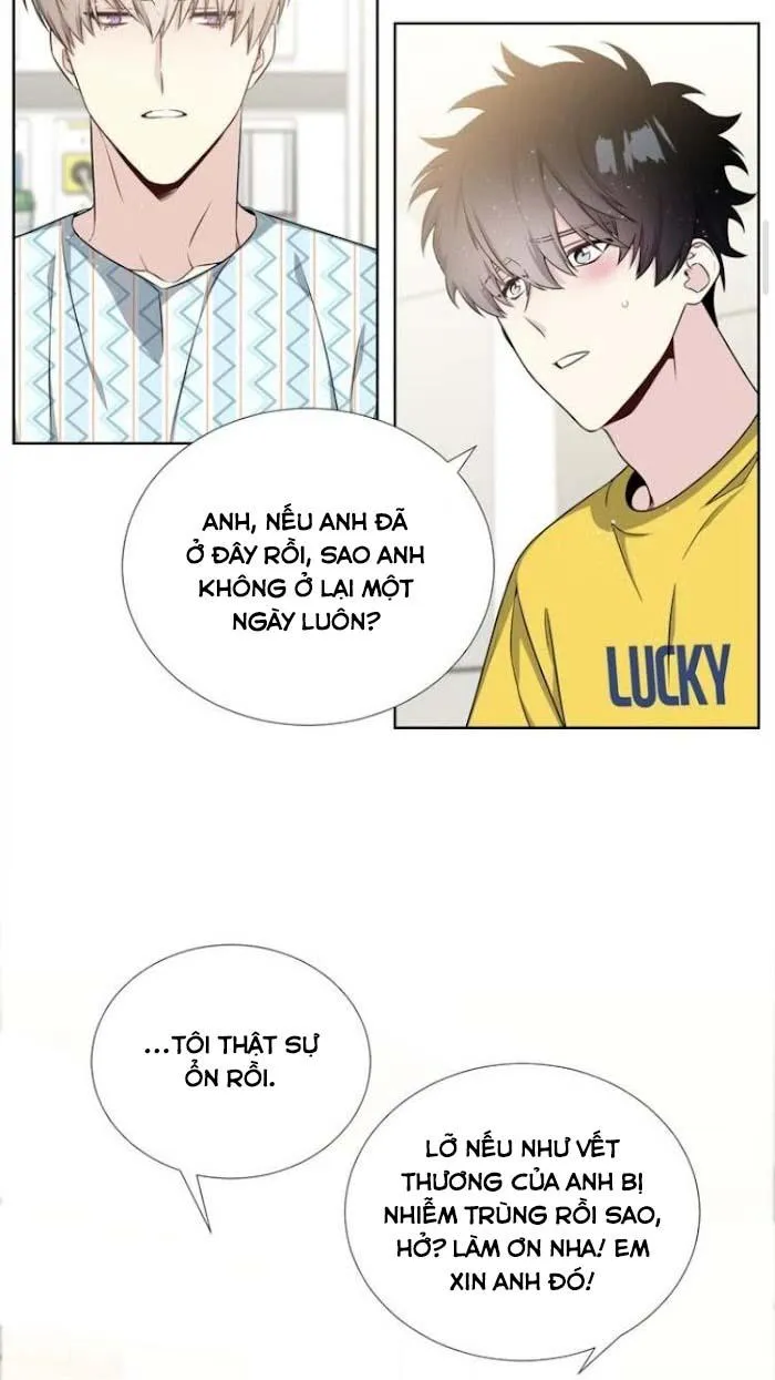 Starlight Scandal. Chapter 16 Trang 7