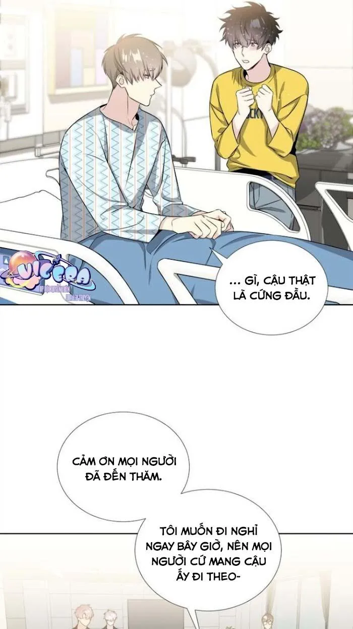 Starlight Scandal. Chapter 16 Trang 8