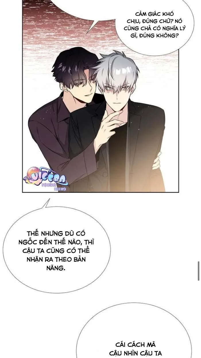 Starlight Scandal. Chapter 16 Trang 35