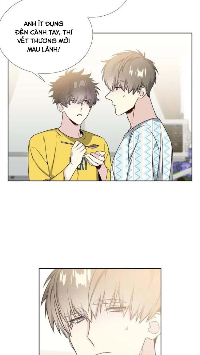 Starlight Scandal. Chapter 17 Trang 3