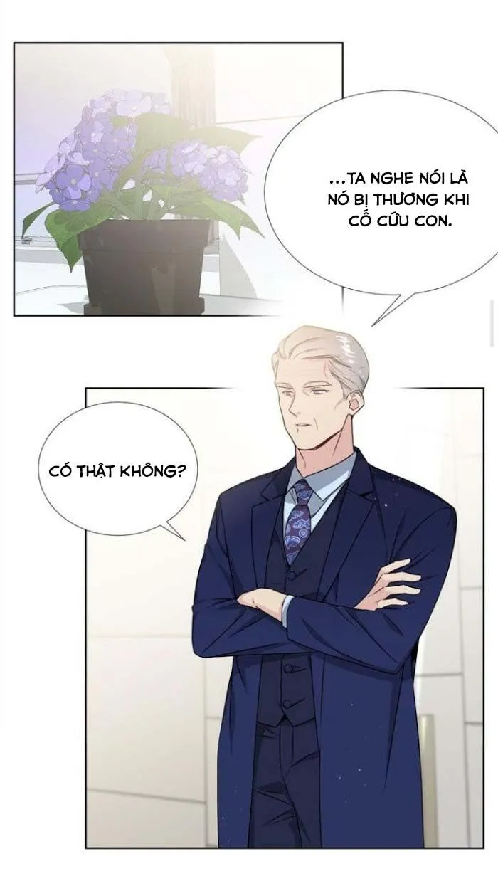 Starlight Scandal. Chapter 17 Trang 15