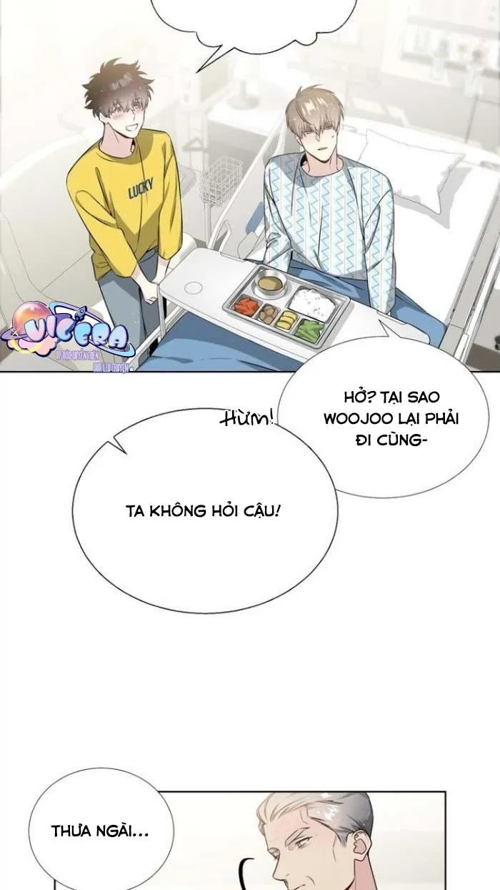 Starlight Scandal. Chapter 17 Trang 19