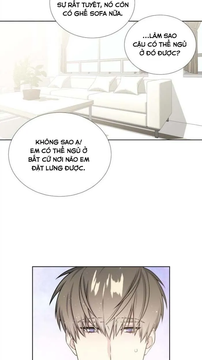 Starlight Scandal. Chapter 17 Trang 27