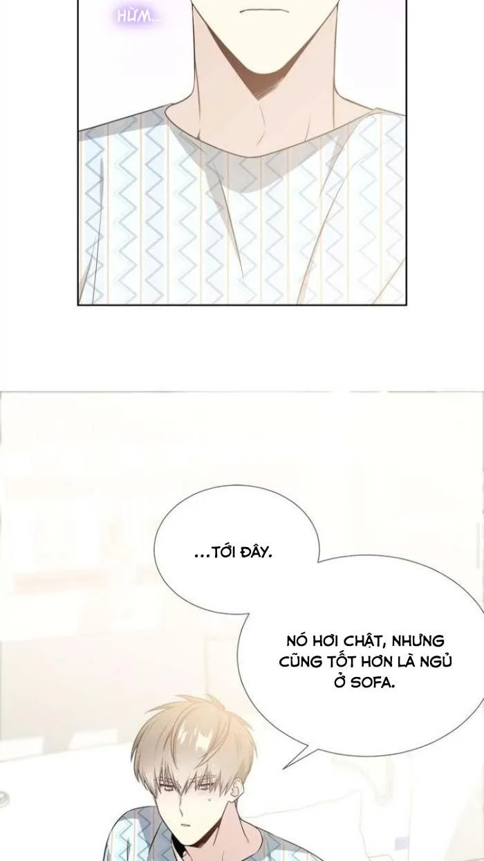 Starlight Scandal. Chapter 17 Trang 28