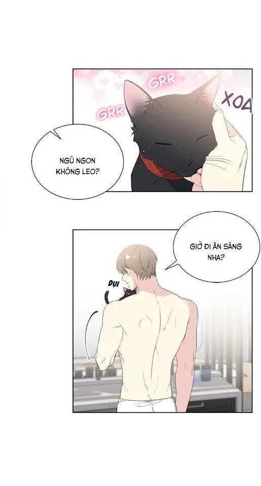 Starlight Scandal. Chapter 1 Trang 8