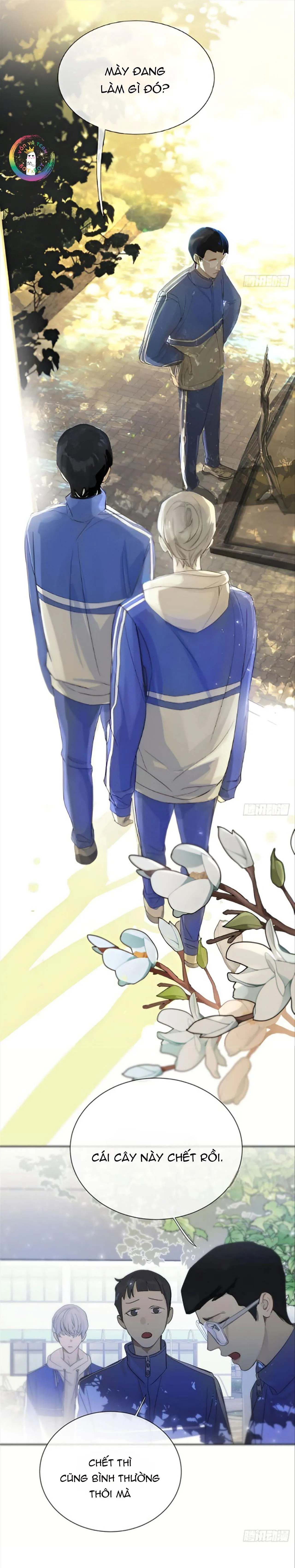 Sự Chiếu Cố Của Thần Linh (END) Chapter 1 Trang 17