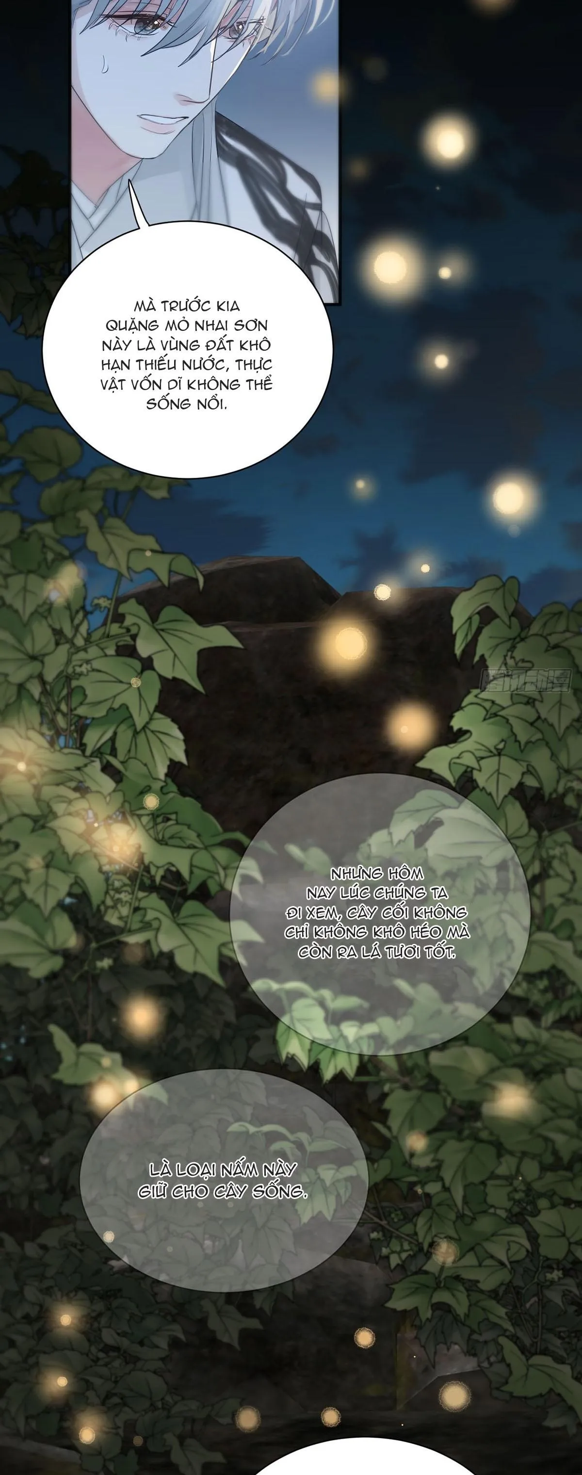 Sự Chiếu Cố Của Thần Linh (END) Chapter 24 Trang 7