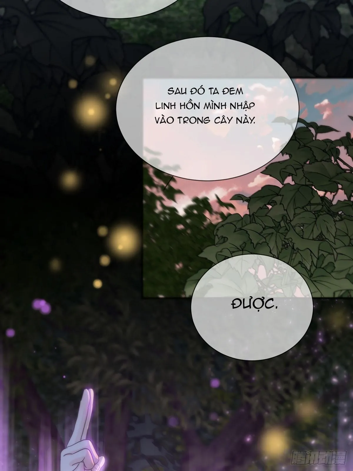 Sự Chiếu Cố Của Thần Linh (END) Chapter 25 Trang 29