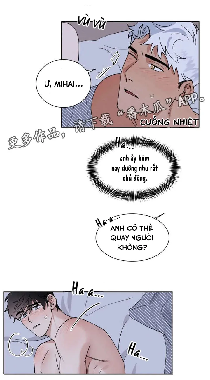 Sự Cứu Rỗi Tội Lỗi DROP Chapter 13 Trang 3